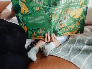 رابطه متن و تصویر کتاب کودک، خود یک هنر است; هنر نامرئی پیوند.